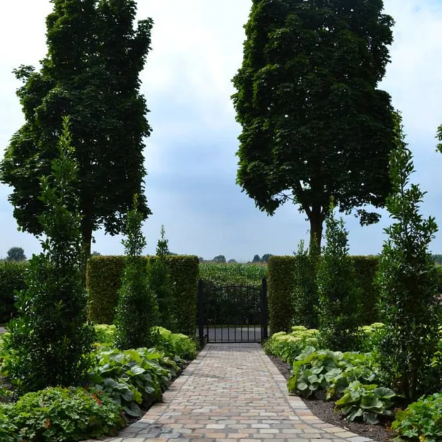 Gepflasterter Weg in einem Garten