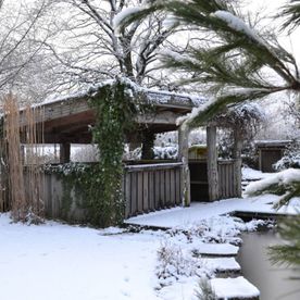 Schnee im Garten mit Gartenhaus