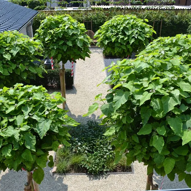 Gepflasterter Weg in einem grünen Garten mit Büschen