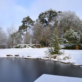 Schnee auf einem Steg am Wasser