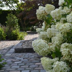 Gepflasterter Weg in einem Garten