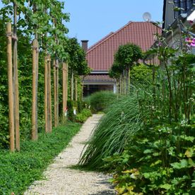 Gepflasterter Weg in einem Garten