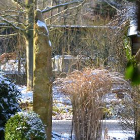 Schnee in einem Garten